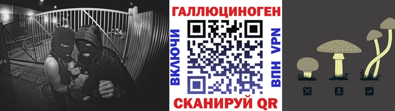 как найти закладки  Ржев  Псилоцибиновые грибы MAGIC MUSHROOMS 